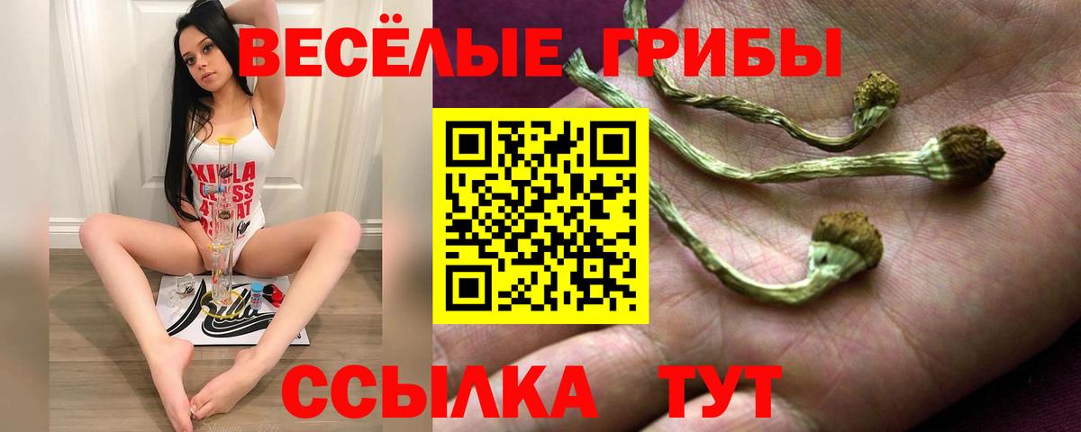 Котлас  Псилоцибиновые грибы MAGIC MUSHROOMS  Галлюциногенные грибы GOLDEN TEACHER  Вход с VPN 