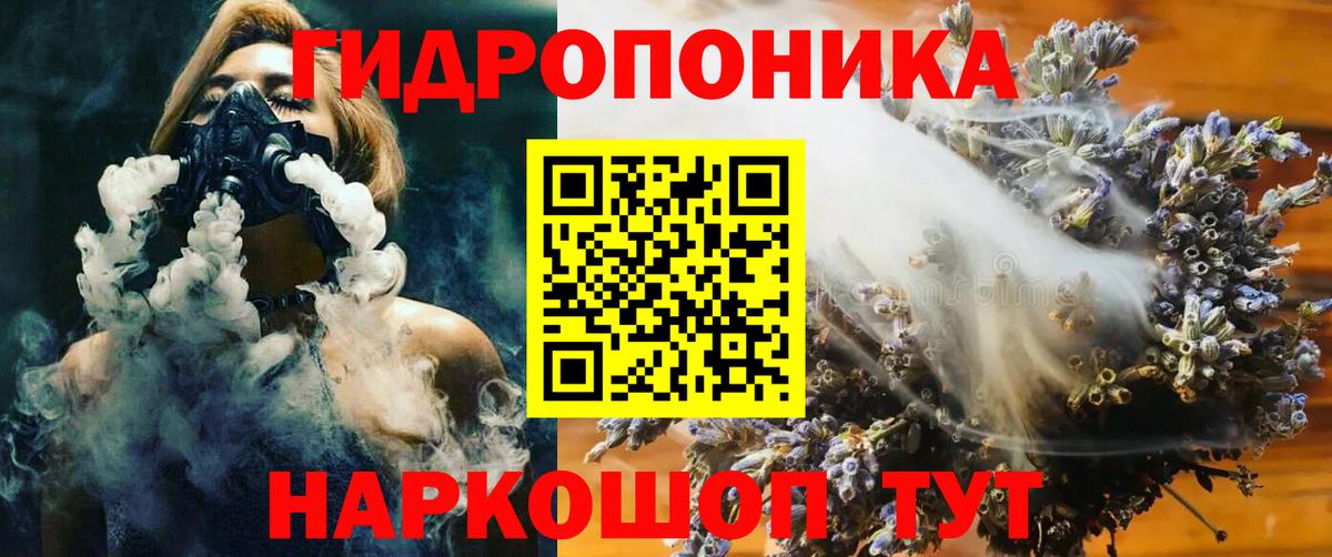 Бошки марихуана White Widow Котлас